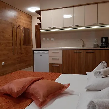 Private Valis ヴァルナ