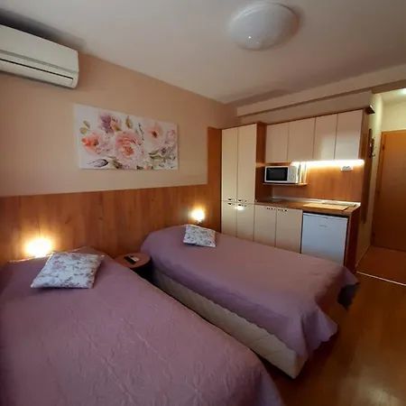 Private Valis ゲストハウス 3*