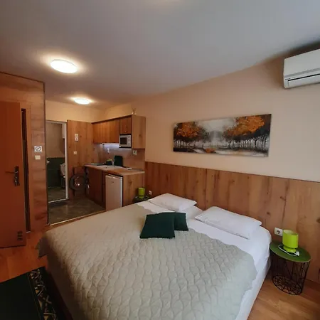 Private Valis ゲストハウス 3*